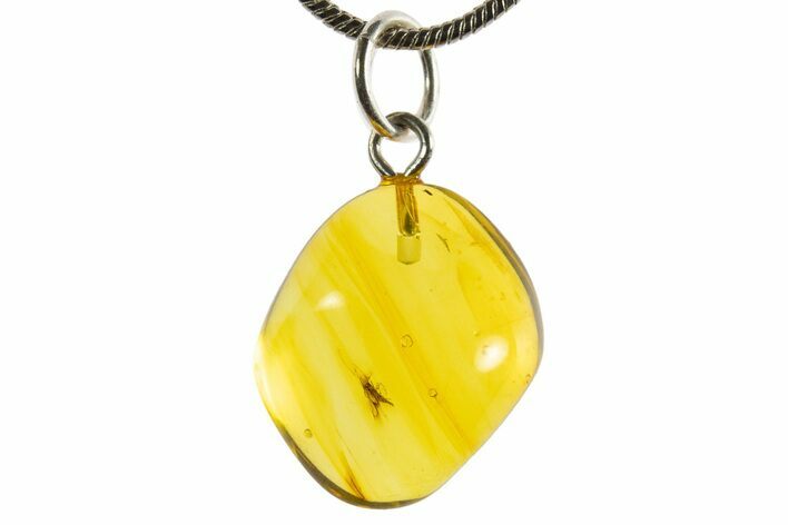 Polished Baltic Amber Pendant (Necklace) - Contains Fly! #339564